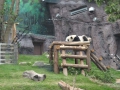石排灣(セッパイワン)公園のパンダ